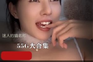 迷人的猫老师大合集,快来看!