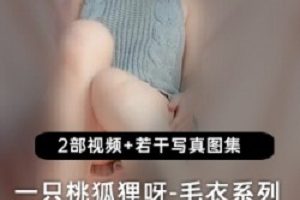 这只狐狸不一般!灰色毛衣系列竟然都是它穿的。