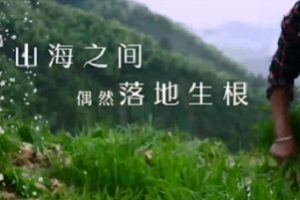 《风味人间》纪录片3部：中国风土人情，APP观看，原画资源可下载