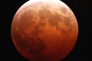 《异变暴龙（2022）：解开谜团，拯救世界》