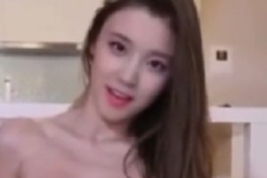 小飞机个人收集合集：展示和CD主题54V/2.96G