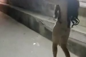 精选展示女神（FSS冯珊珊）最新稀缺散播合集[173v-21.5G]