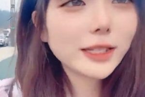 小包子7v1.16g合集，收藏百度