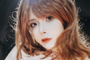 秋和柯基纱打包百度盘