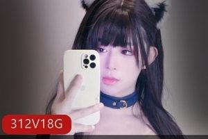 OnlyFans露脸高颜值TS合集312V18.4G，推特明星齐聚