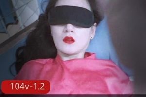 某推超美妻子多乙合集104部1.2G，温婉气质的偷吃风格