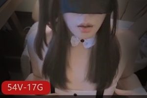 OnlyFansmintmoca3大雕TS视频合集54部17G超带感