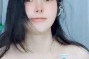 SweetQiQi胖臀视频合集推特32v44.8g太骚气