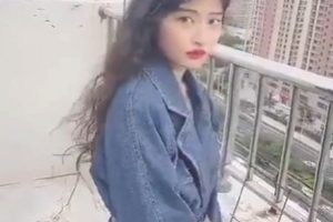 果舞抖音粉嫩风合集10V550MB