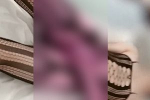 P站优质BlueCrow42伪娘视频115部30G珍藏