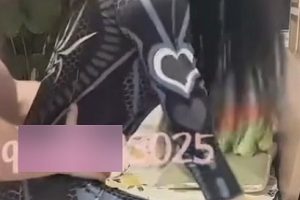 推特王佳颖TS热舞精选82部30G超值珍藏