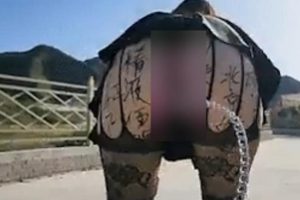395部自拍芬姬夏妓妻子合集18.3G太会折腾
